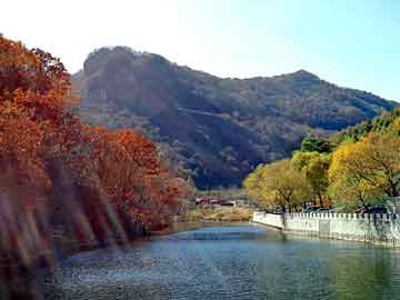 澳门期期准免费精准，河北图书批发市场